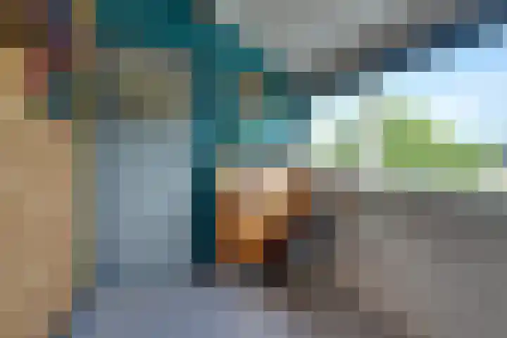Oranjelaan 38 Castricum thumbnail 29