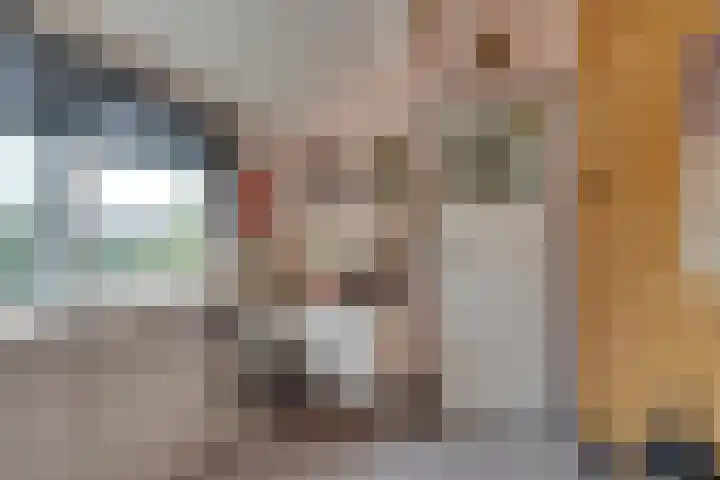 Oranjelaan 38 Castricum thumbnail 32