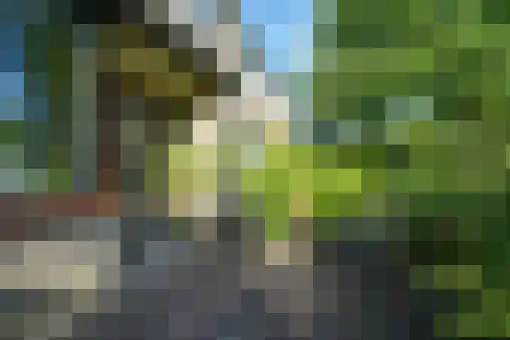 Oranjelaan 38 Castricum thumbnail 37