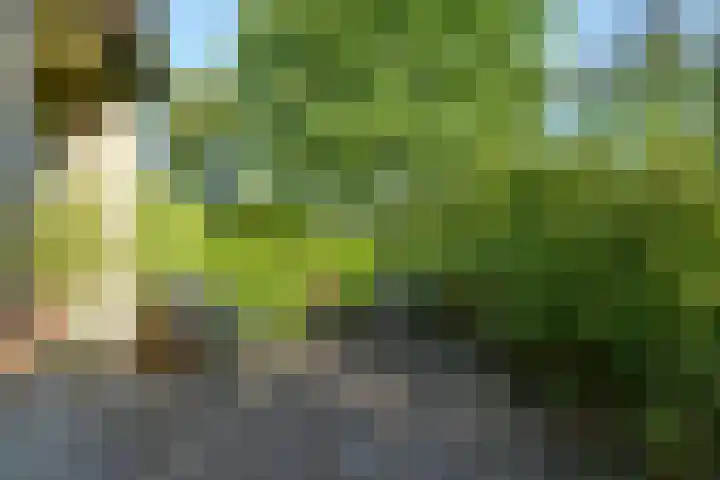 Oranjelaan 38 Castricum thumbnail 38