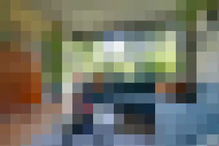 Oranjelaan 38 Castricum thumbnail 4