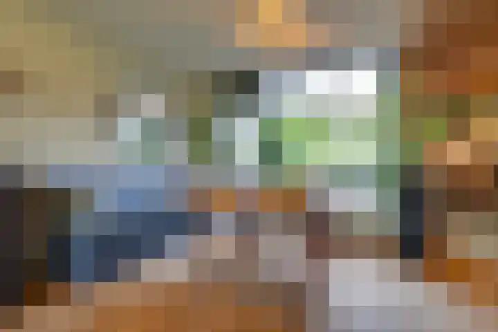 Oranjelaan 38 Castricum thumbnail 7