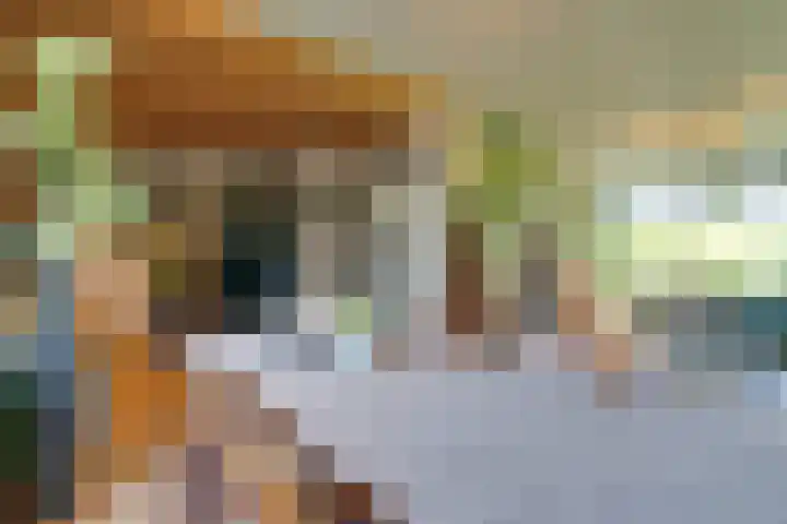 Oranjelaan 38 Castricum thumbnail 8