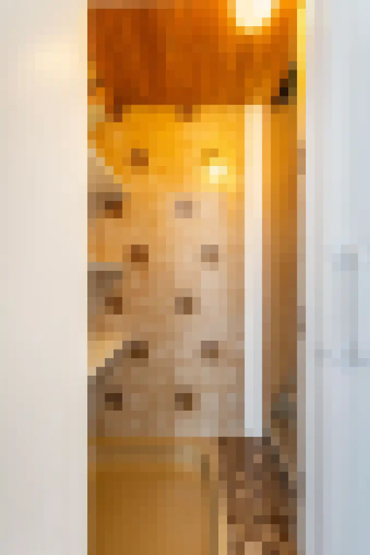 Oranjelaan 38 Vlaardingen thumbnail 33