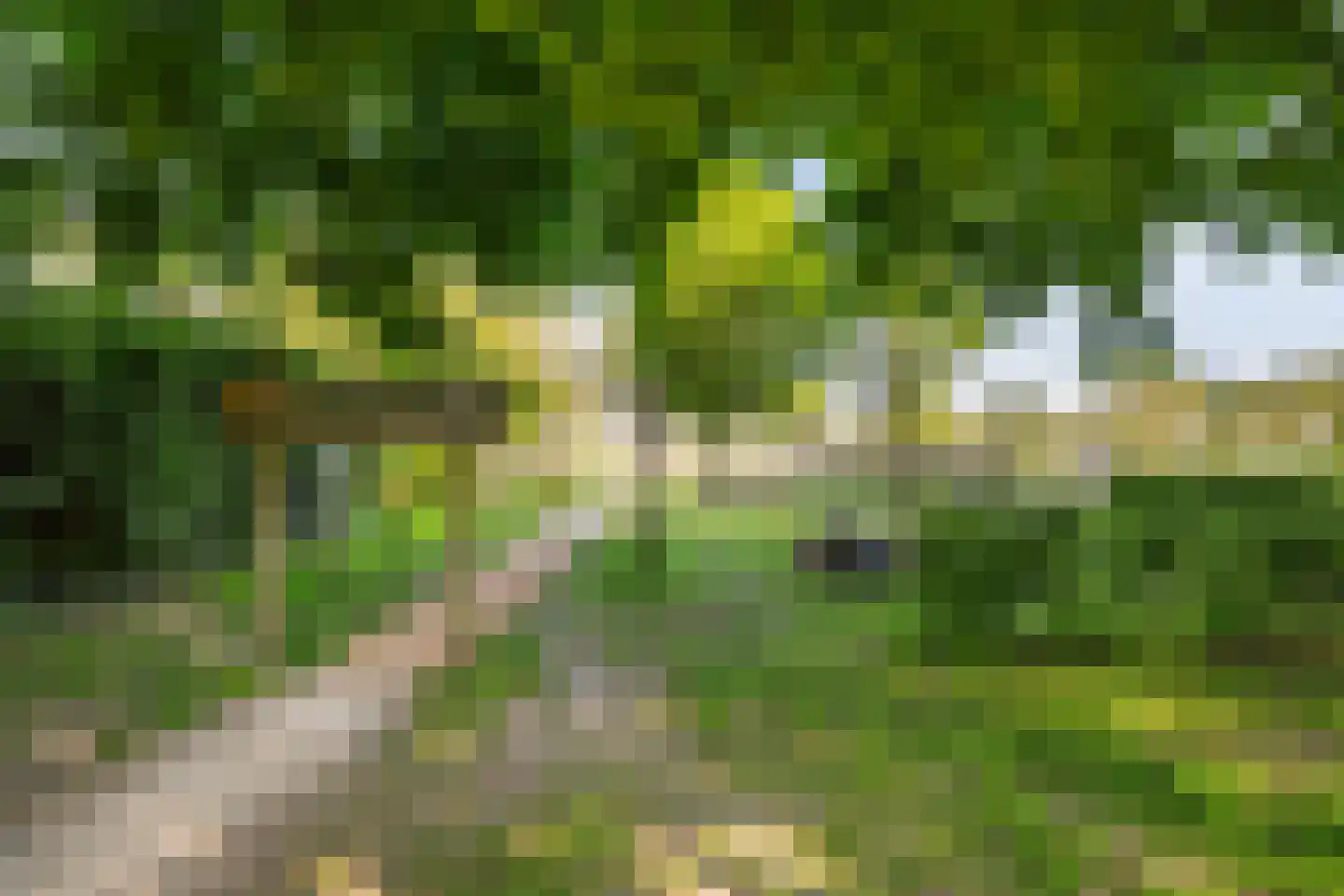 Oranjelaan 38 Vlaardingen thumbnail 36