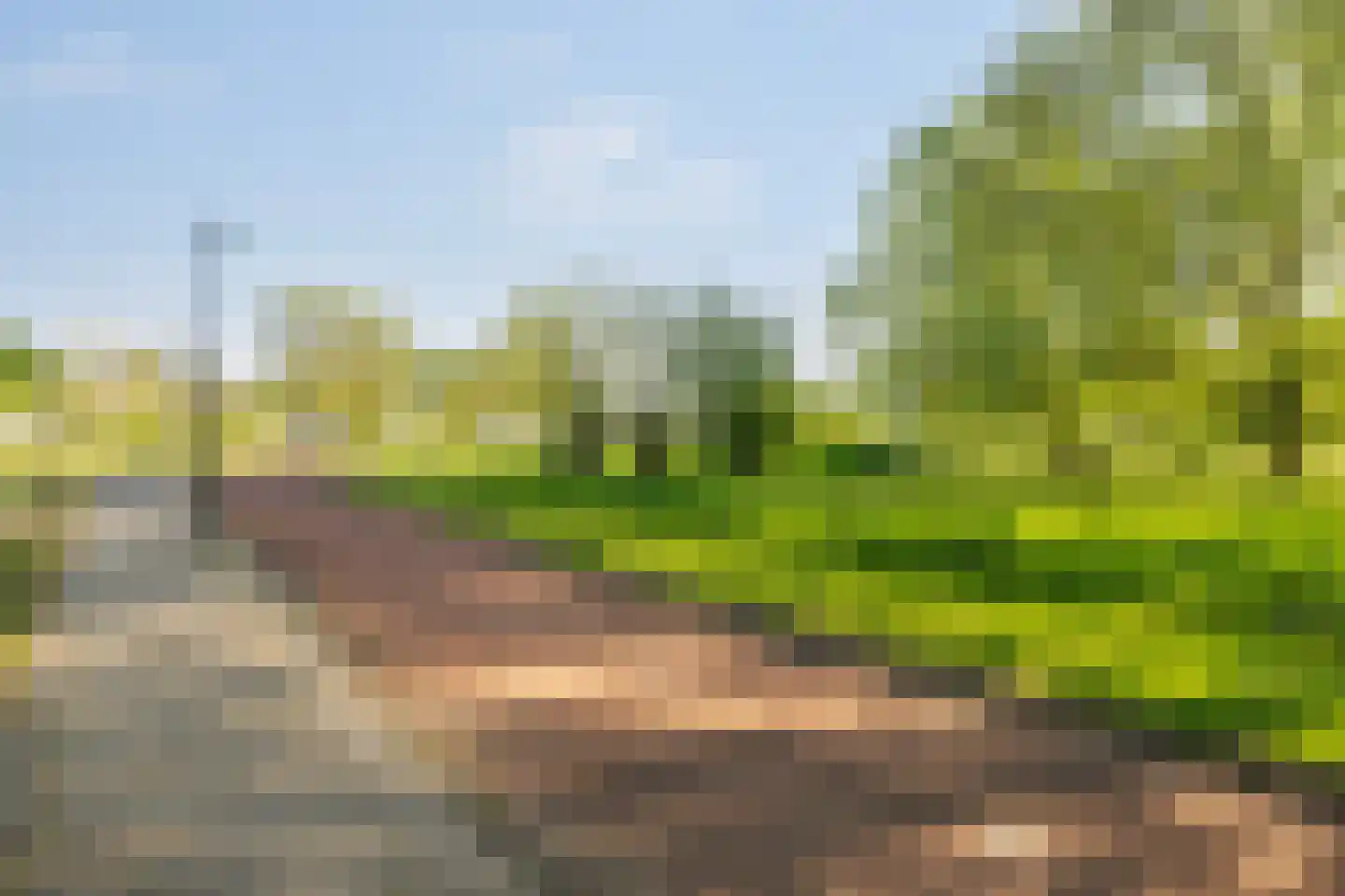 Oranjelaan 38 Vlaardingen thumbnail 37