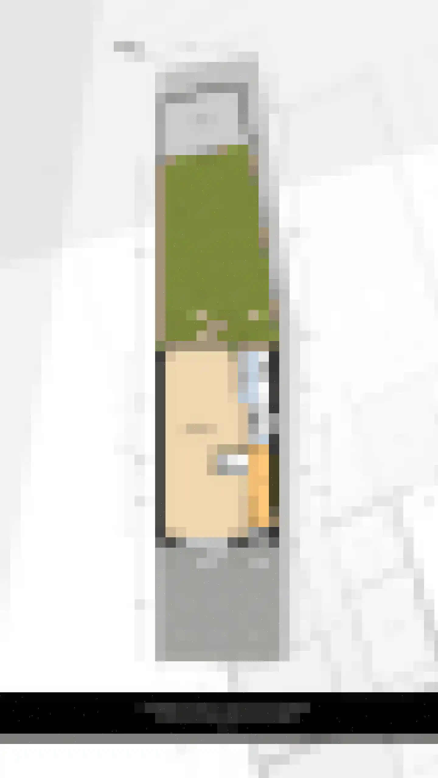 Oranjelaan 38 Vlaardingen thumbnail 38