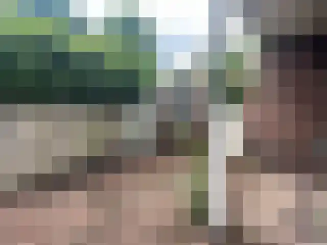 Oranjelaan 4 Driebergen-Rijsenburg thumbnail 10