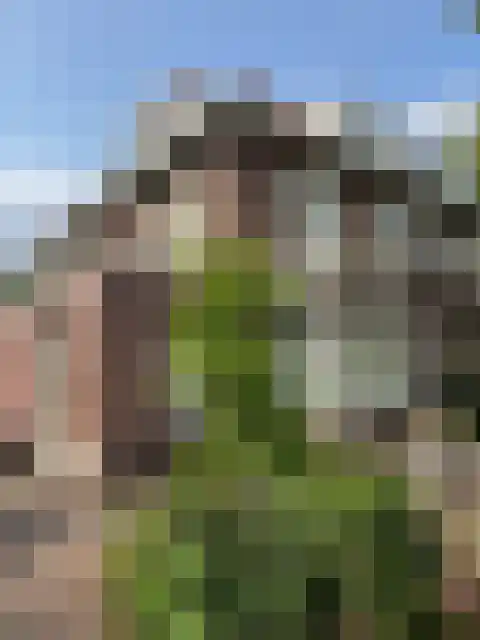 Oranjelaan 4 Driebergen-Rijsenburg thumbnail 4