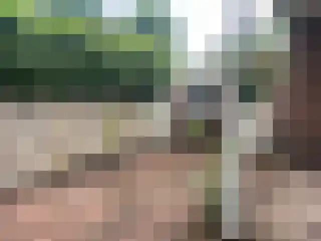 Oranjelaan 4 Driebergen-Rijsenburg thumbnail 6