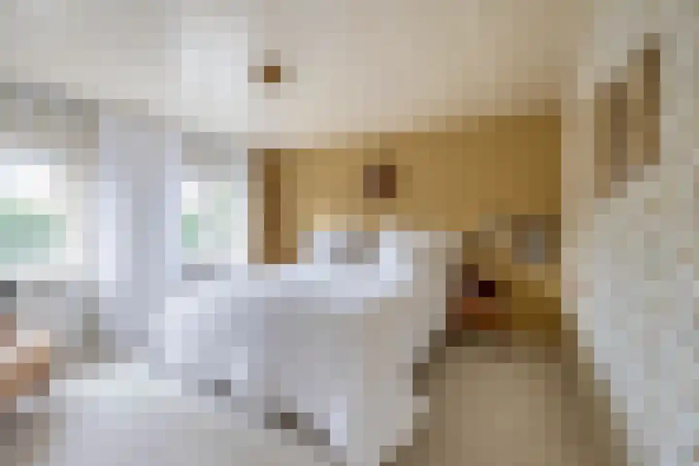 Oranjelaan 4 Lisse thumbnail 15
