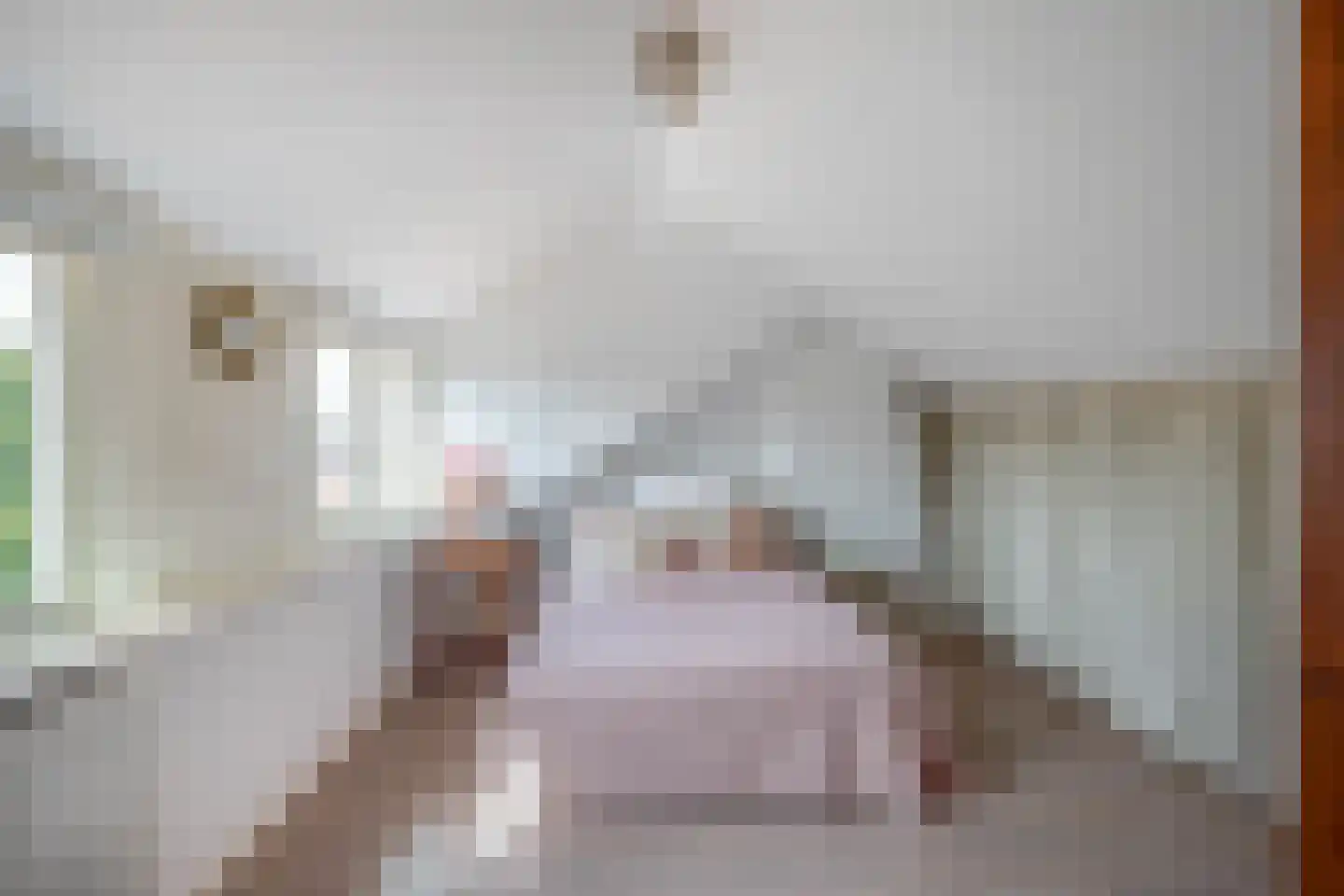 Oranjelaan 4 Lisse thumbnail 25