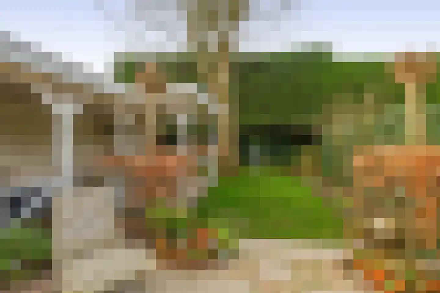 Oranjelaan 4 Lisse thumbnail 31