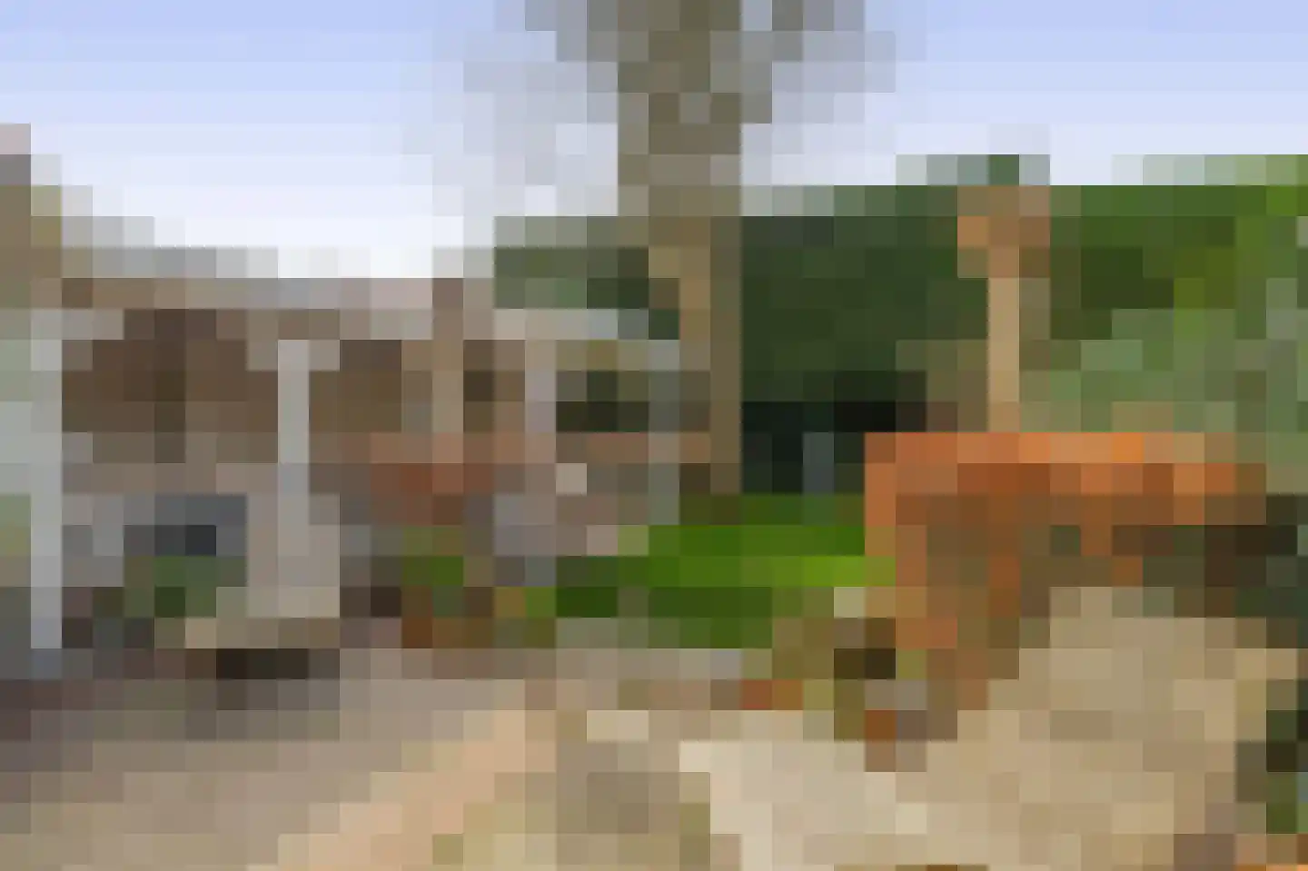 Oranjelaan 4 Lisse thumbnail 32