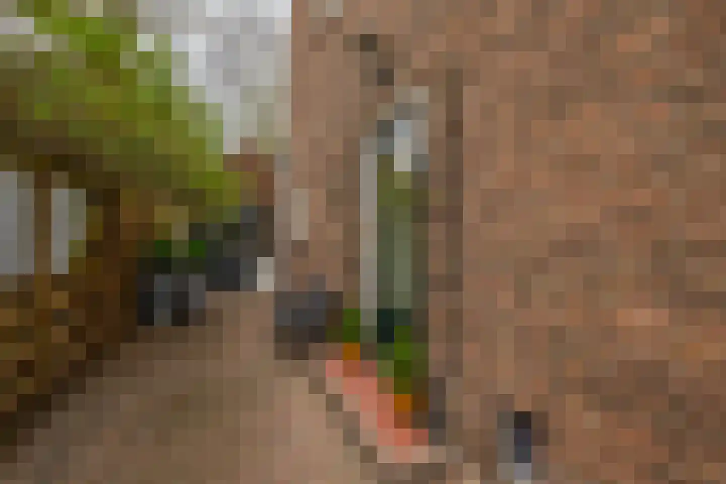 Oranjelaan 4 Lisse thumbnail 35