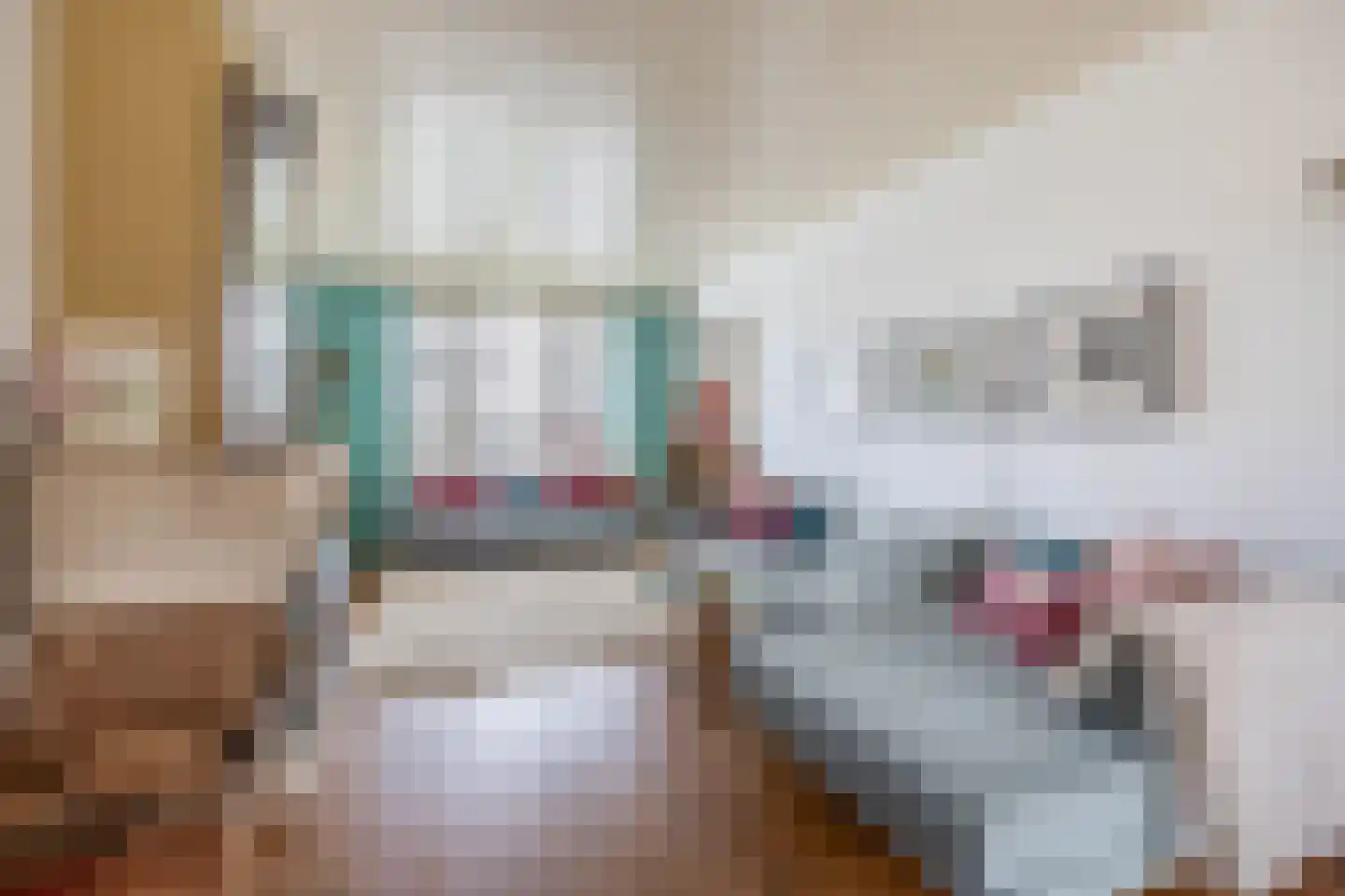 Oranjelaan 4 Lisse thumbnail 8