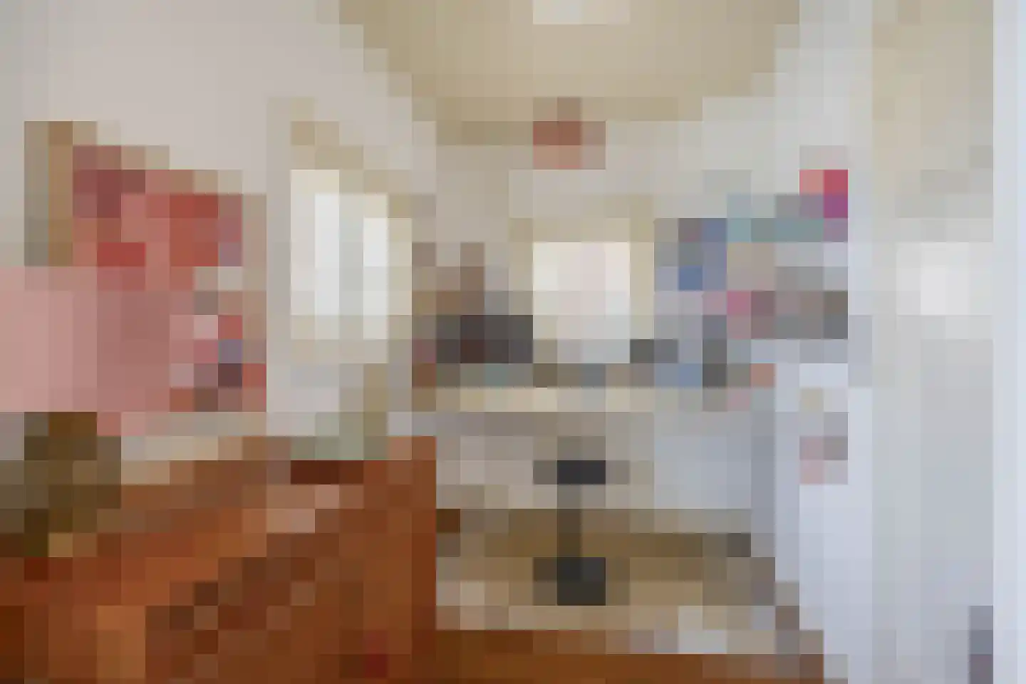 Oranjelaan 4 Lisse thumbnail 9