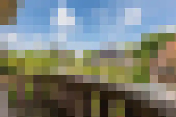 Oranjelaan 4 Oegstgeest thumbnail 35