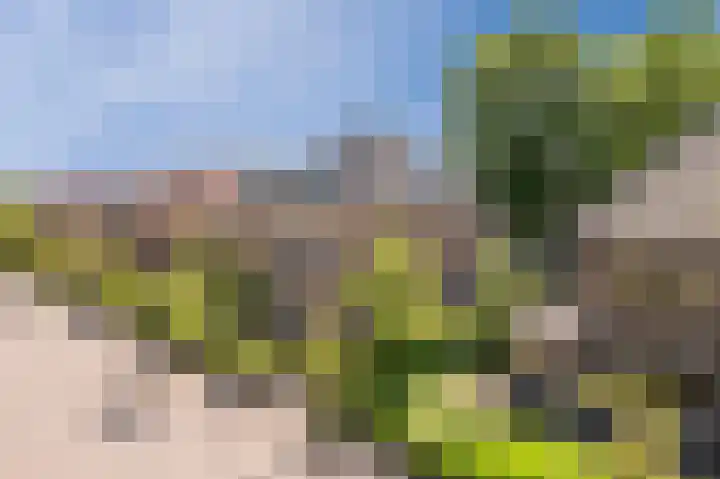 Oranjelaan 4 Oegstgeest thumbnail 4