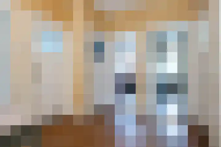 Oranjelaan 4 Oegstgeest thumbnail 48