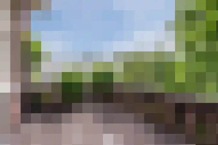 Oranjelaan 4 Oegstgeest thumbnail 50