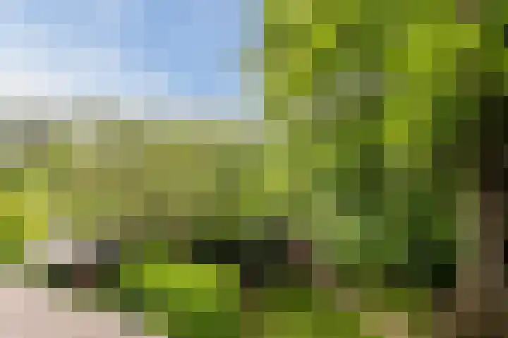 Oranjelaan 4 Oegstgeest thumbnail 51