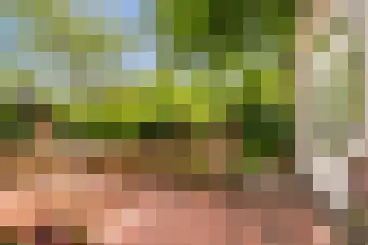 Oranjelaan 4 Oegstgeest thumbnail 52