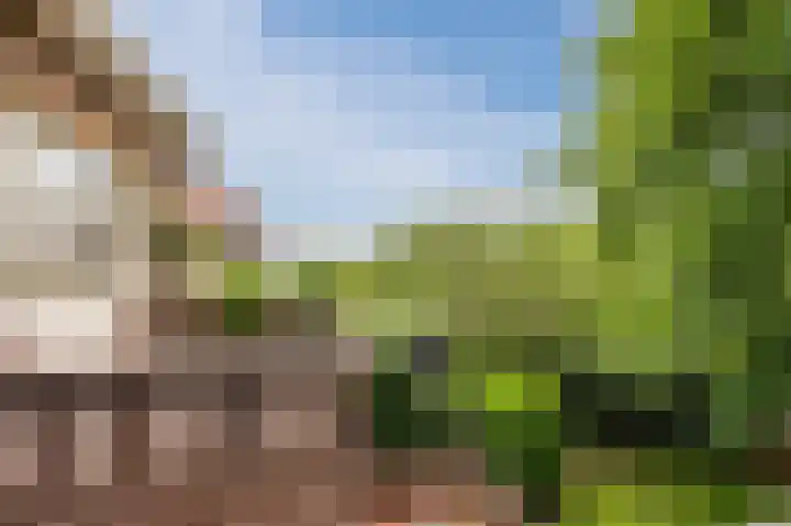 Oranjelaan 4 Oegstgeest thumbnail 53