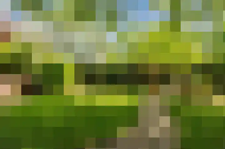Oranjelaan 4 Oegstgeest thumbnail 55