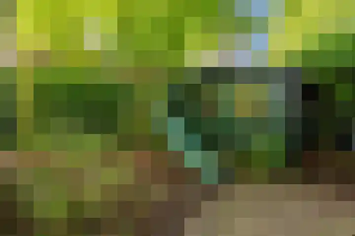 Oranjelaan 4 Oegstgeest thumbnail 56