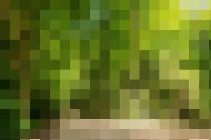 Oranjelaan 4 Oegstgeest thumbnail 59