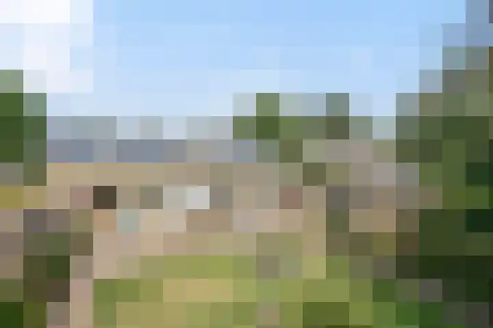 Oranjelaan 41 Alkmaar thumbnail 19