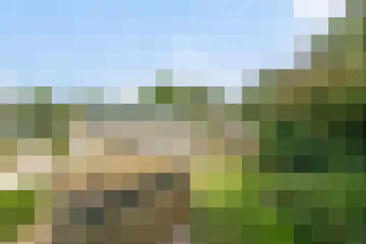 Oranjelaan 41 Alkmaar thumbnail 20