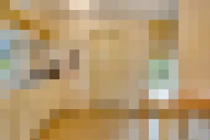 Oranjelaan 41 Beek en Donk thumbnail 10