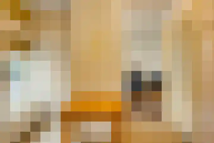 Oranjelaan 41 Beek en Donk thumbnail 11