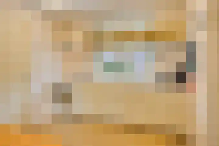 Oranjelaan 41 Beek en Donk thumbnail 12