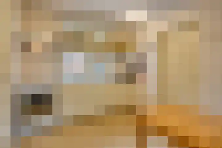 Oranjelaan 41 Beek en Donk thumbnail 13