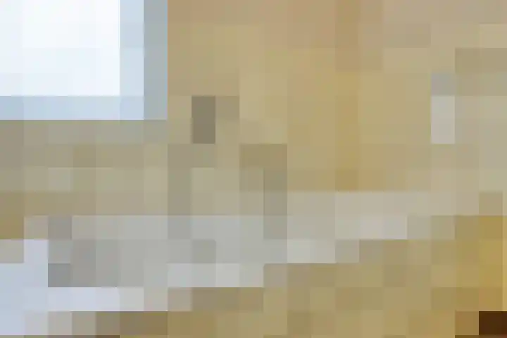 Oranjelaan 41 Beek en Donk thumbnail 24