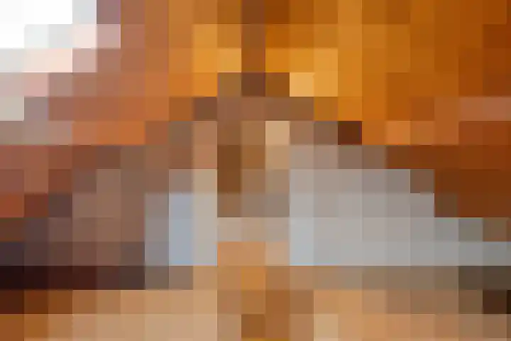 Oranjelaan 41 Beek en Donk thumbnail 25