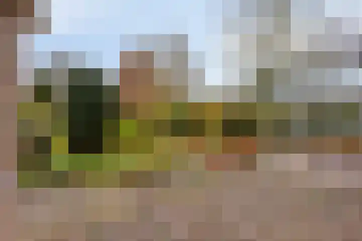Oranjelaan 41 Beek en Donk thumbnail 26