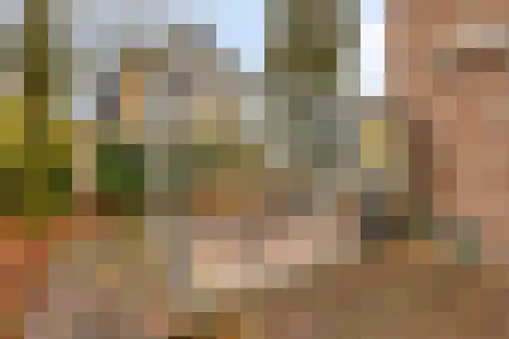 Oranjelaan 41 Beek en Donk thumbnail 27
