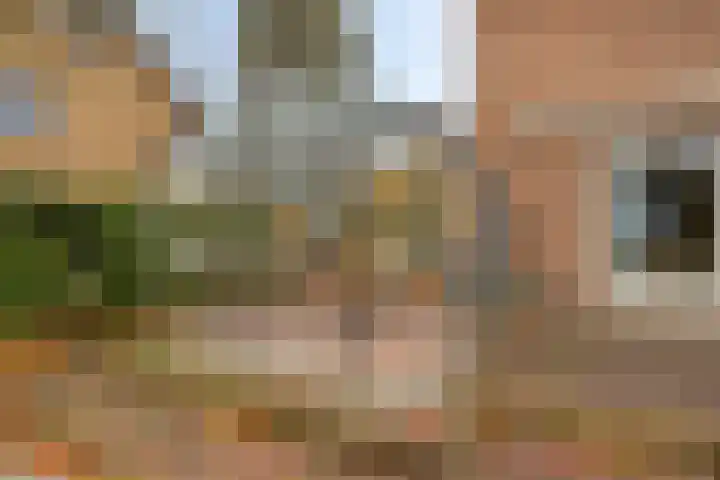 Oranjelaan 41 Beek en Donk thumbnail 28