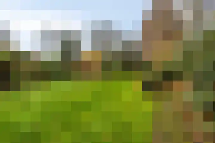 Oranjelaan 41 Beek en Donk thumbnail 29