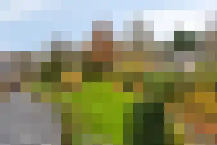 Oranjelaan 41 Beek en Donk foto 3