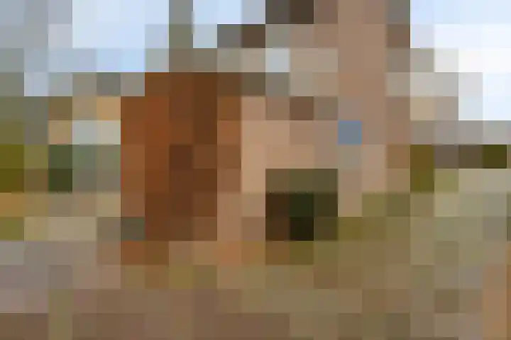 Oranjelaan 41 Beek en Donk thumbnail 30