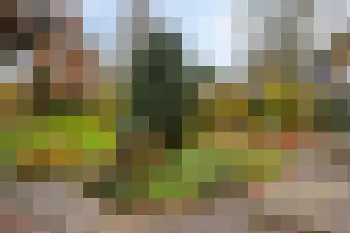 Oranjelaan 41 Beek en Donk thumbnail 31