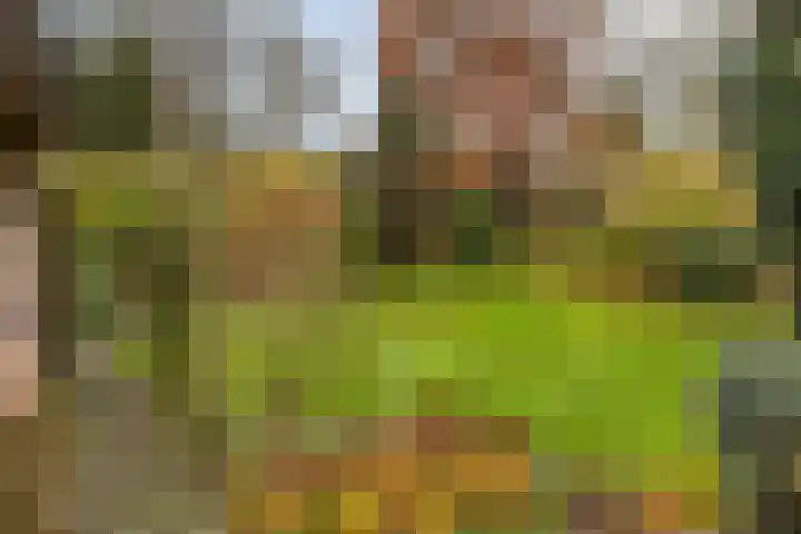 Oranjelaan 41 Beek en Donk thumbnail 32