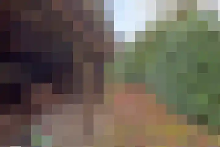 Oranjelaan 41 Beek en Donk thumbnail 35