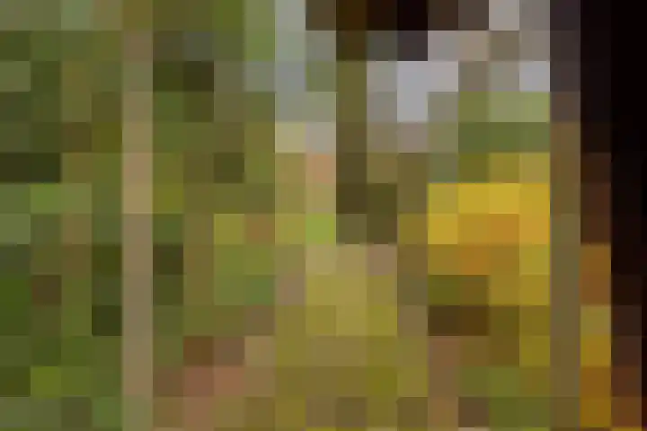 Oranjelaan 41 Beek en Donk thumbnail 36