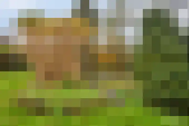Oranjelaan 41 Beek en Donk thumbnail 37